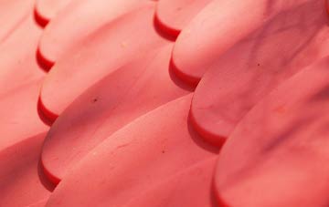 Parson Drove plastic roof costs