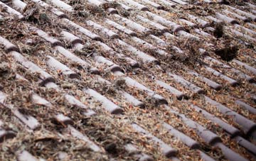 Parson Drove roof cleaning companies