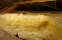 Parson Drove pitch roof insulation